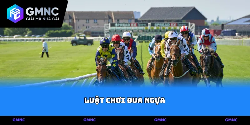 Thuật toán phân định và nền tảng Luật chơi đua ngựa minh bạch