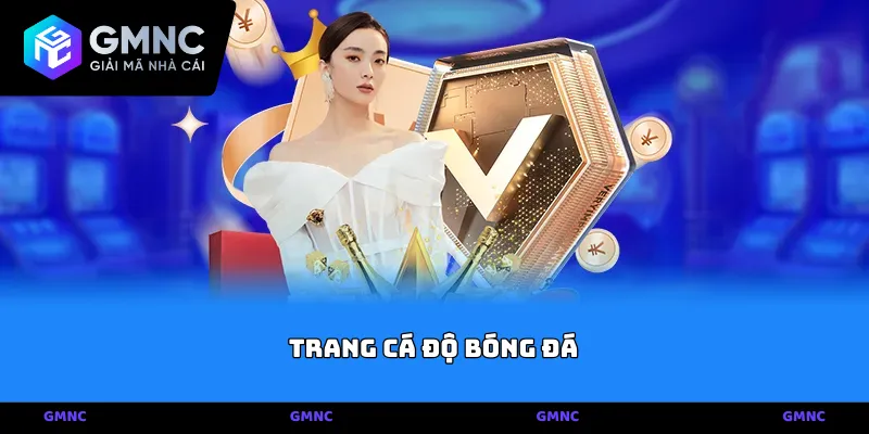 Giới thiệu tổng quan về các Trang cá độ bóng đá uy tín nhất